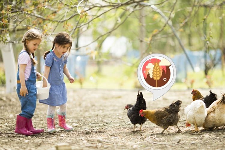 Mit diesem Alexa Skill besuchen Kinder einen virtuellen Bauernhof und lernen nebenbei noch vieles