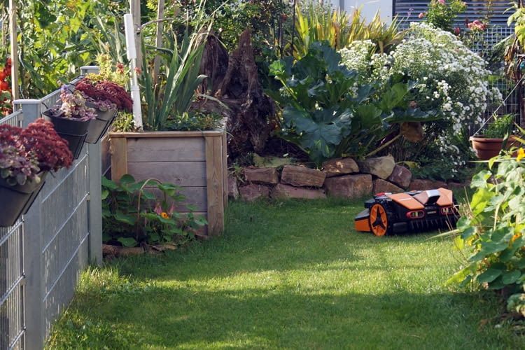 Wir stellen in diesem Artikel Top Mähroboter für kleine Gärten vor