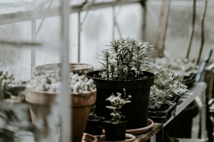Mit diesen smarten Technologien wird der Garten smart für den Winter