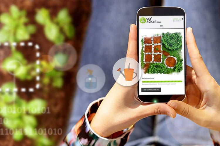 MyAcker vermittelt viel Wissenswertes rund um Gemüseanbau und Pflanzenpflege
