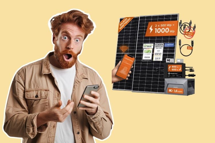 Solarfans aufgepasst: Netto setzt beim Preis neue Maßstäbe!