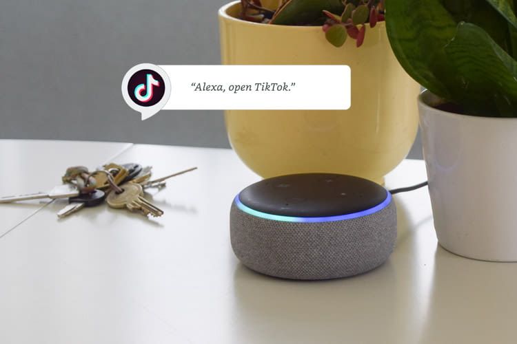 Alexa kann die TikTok App steuern