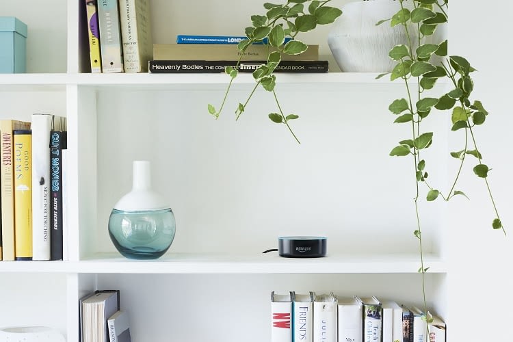 Alexa Skills funktionieren auch über den Echo Dot