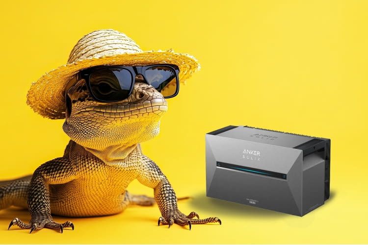 Aktuell gibt es den SOLIX 3 Speicher zu einem tierisch guten Preis