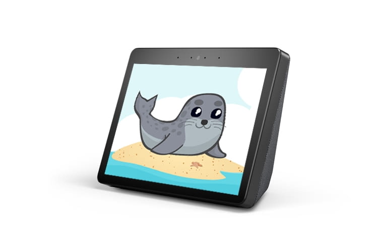 Der Seehundstation Norddeich Alexa Skill macht mit Amazon Displays besonders viel Spaß