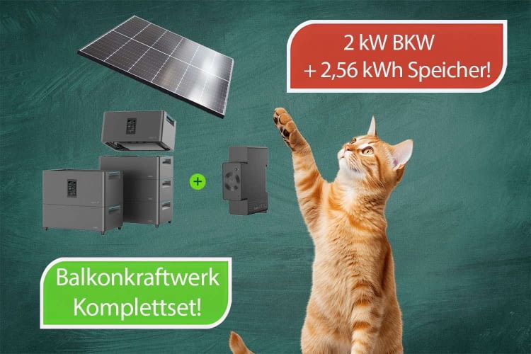 Im Juni wartet ein irrer Fang auf alle Angebots-Jäger