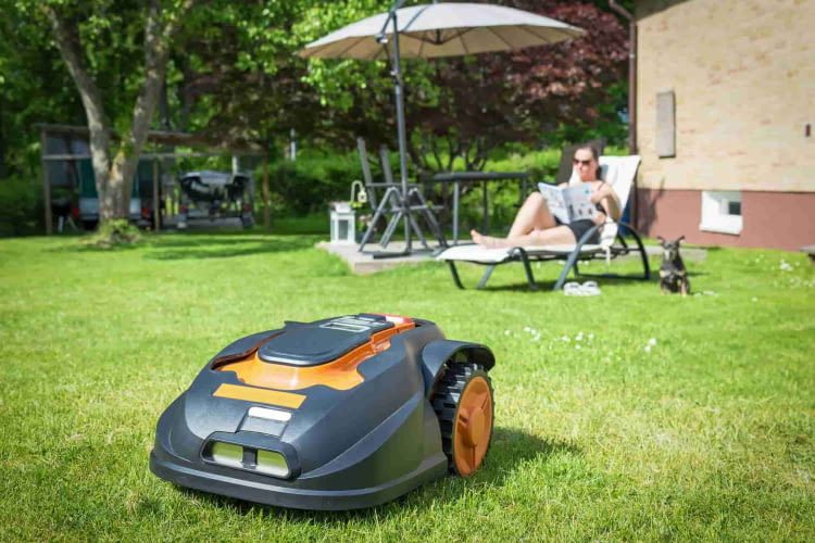 smarte-gartentipps-maehroboter