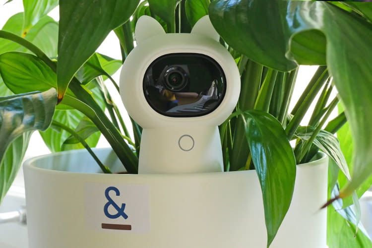 Die meisten Indoorkameras sind so klein, dass sie fast überall Platz finden