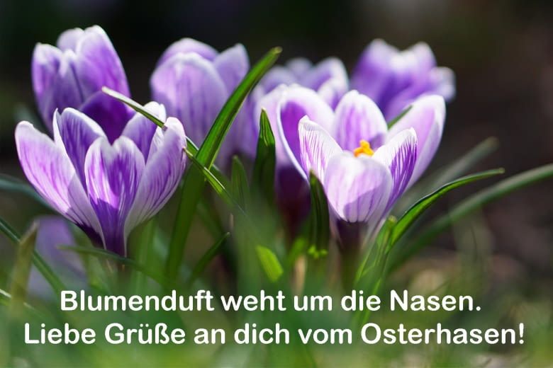 Blumige Grüße kommen immer gut an