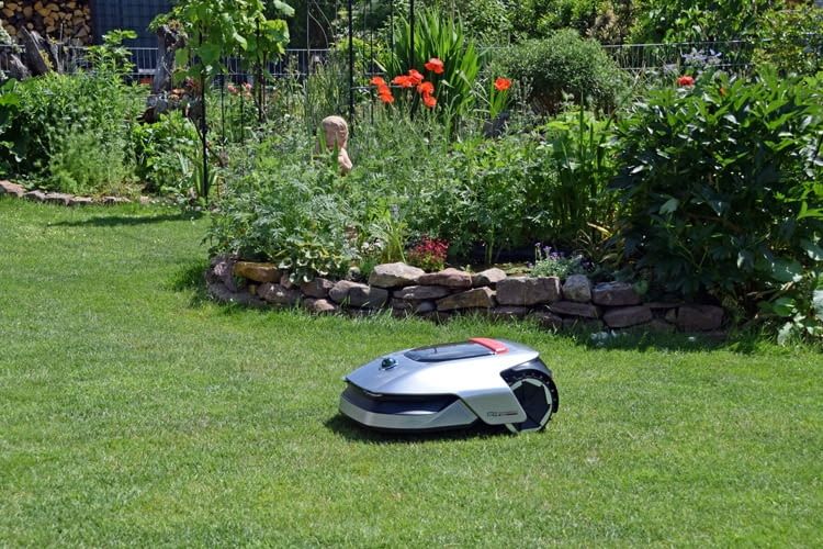 Unsere Expertentipps helfen dabei den Garten auch im Hochsommer grün zu halten