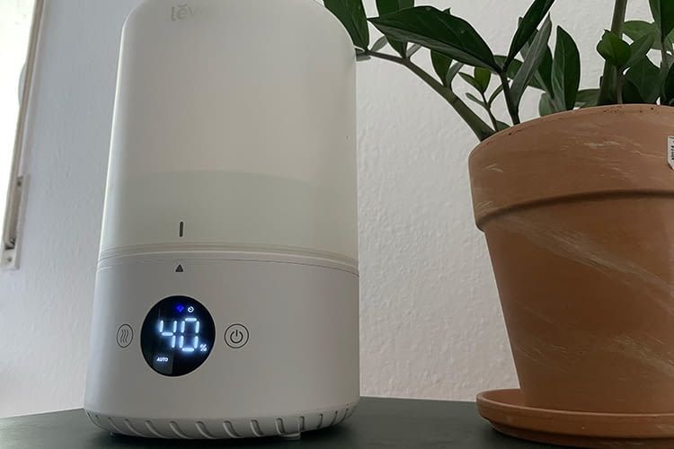 Der Levoit Luftbefeuchter hatte besondere Vorteile für Pflanzenbesitzer im Luftbefeuchter Test