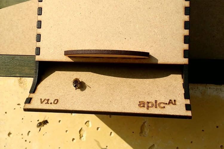 Aus- und einfliegende Bienen werden von apic.ai ebenso erfasst wie Polleneintrag und eventuelle Milben