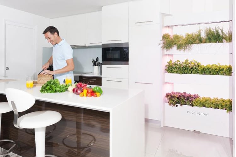 Vertikaler Garten in der Küche? Click & Grow macht’s möglich