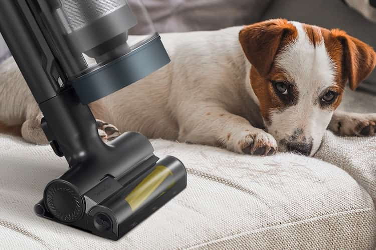 Das Pet-Tool des Samsung Jet Complete Extra erlaubt Haustierbesitzern das gründliche Beseitigen von Tierhaaren.