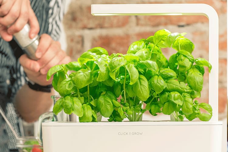 Click & Grow Smart Herb Garden 3 mit flexibler LED-Beleuchtung