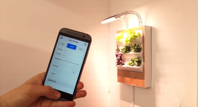 Die Intensität der LED-Lichtbestrahlung lässt sich über die Herbert-App regeln