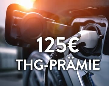 Bei geld-fuer-eauto.de gibt's die beste THG-Quote