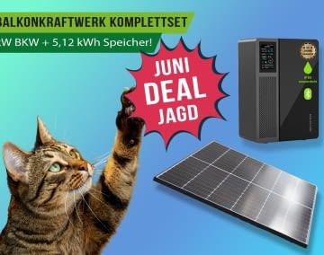 Im Juni wartet ein irrer Fang auf alle Angebots-Jäger