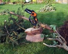 Wir haben diese Mini-Säge an verschiedenen Hölzern ausprobiert