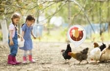 Mit diesem Alexa Skill besuchen Kinder einen virtuellen Bauernhof und lernen nebenbei noch vieles