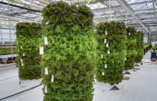 Urban Gardening in 3D ermöglichen diese vertikalen Pflanztonnen