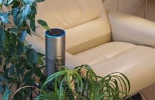 Mit Alexa können wir unsere Lieblingssongs abrufen oder neue entdecken