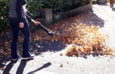 Dieses Worx Modell bewies in unserem Test ordentlich Power