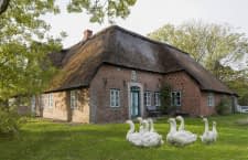 bookitgreen möchte nachhaltiges Reisen einfacher machen