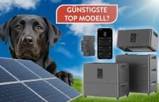 Den Top Speicher Jupiter C Plus gibt es bei PluginEnergy für nur 625 Euro!