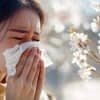 Wir stellen die besten Luftreiniger gegen Pollen vor